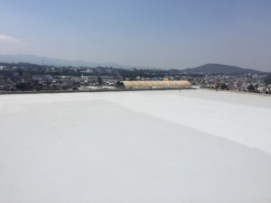 thumb_IMG_6045_1024